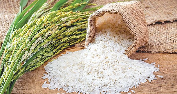 India’s rice exports up by 64% in December