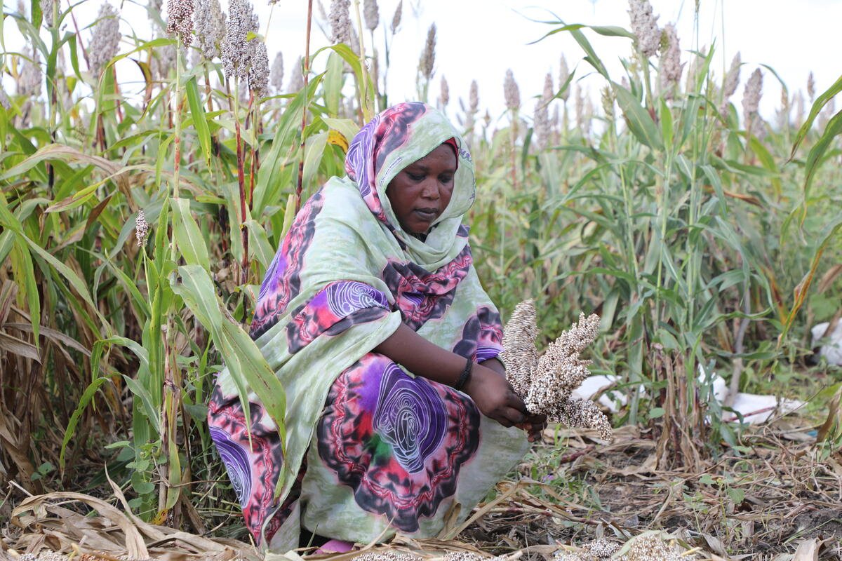 UN Statistical Commission approves creation of standalone food security and nutrition domain