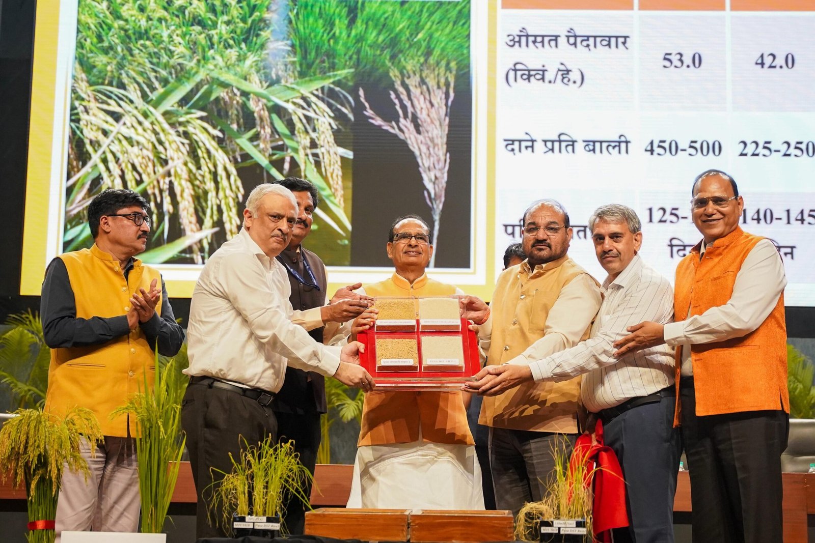 India develops two genome-edited rice varieties