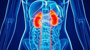 Best six food items to manage chronic kidney disease